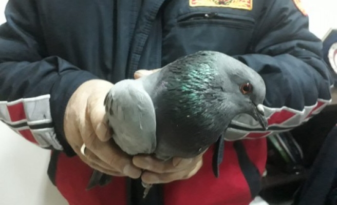 Duvara sıkıştı, imdadına itfaiye yetişti!