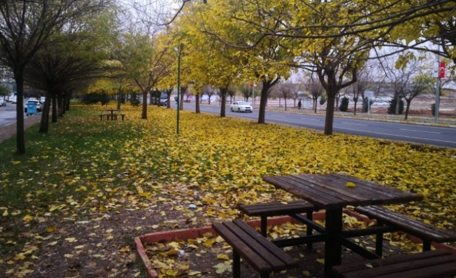 Vatandaşlar, güzel manzaranın bozulmasına tepkili