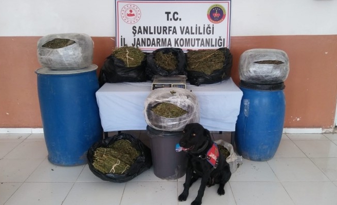Şanlıurfa'da uyuşturucu operasyonu yapıldı