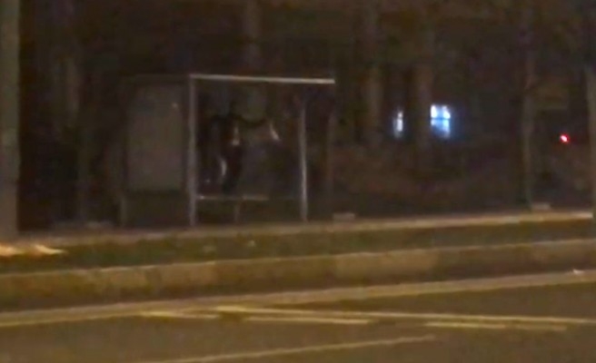 Şanlıurfa'da herkes kaçışırken onlar halay çekiyordu