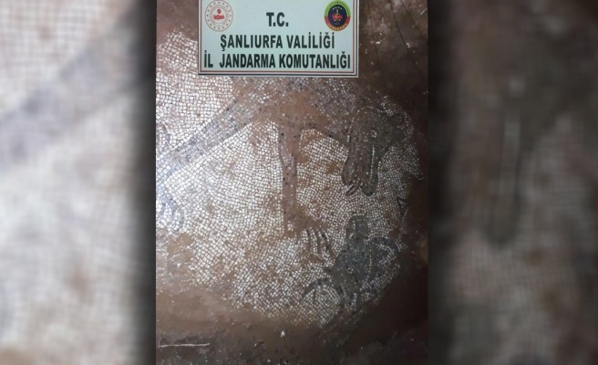Şanlıurfa'da bir evin bahçesinden mozaik çıktı