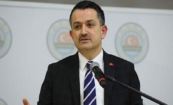 13 Milyon Fidanı Toprakla Buluşturduk