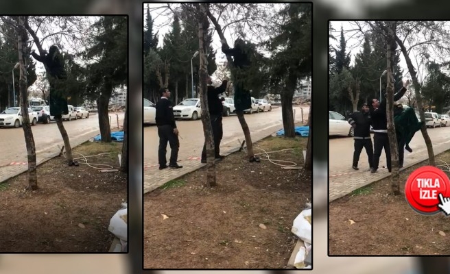 Şanlıurfa'da elektrik borcu yüzünden intihara kalkıştı