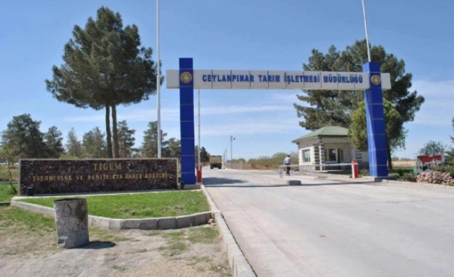 Hayvan ölümlerindeki artış Sayıştay Raporuna yansıdı