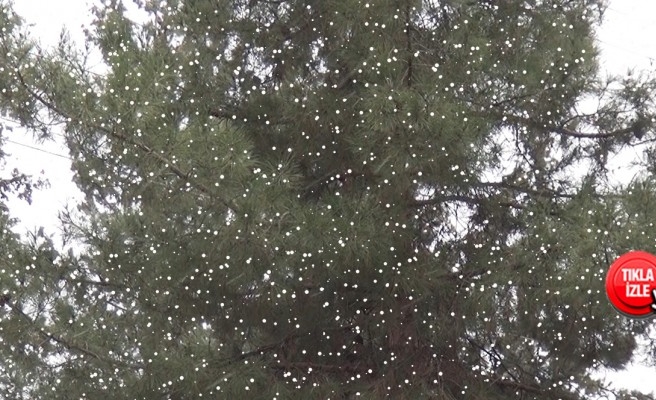 Şanlıurfa'da uzun süredir beklenen kar yağışı başladı
