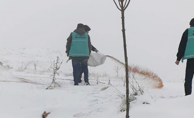 Eyyübiye'de sokak hayvanları unutulmadı
