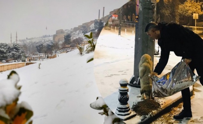 Birinci seçildi, istediği ödül 