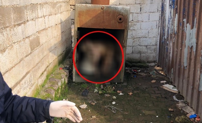 Viranşehir'de kaçak hayvan kesenlere operasyon yapıldı