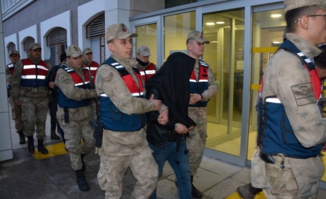 Şanlıurfa'da koyun çalan 4 kişi tutuklandı