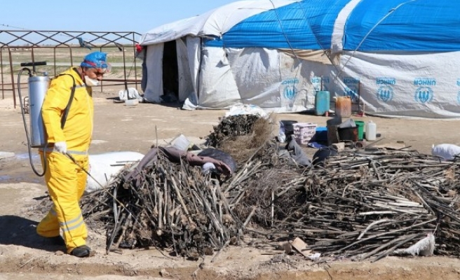 Telabyad’da ilaçlama çalışmaları başladı