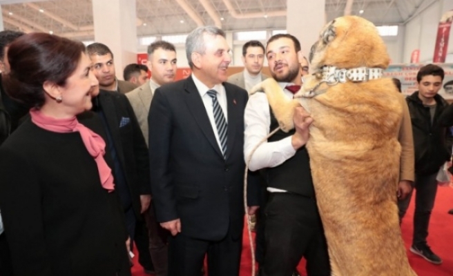 Beyazgül, Gıda, Tarım ve Hayvancılık Fuarını ziyaret etti