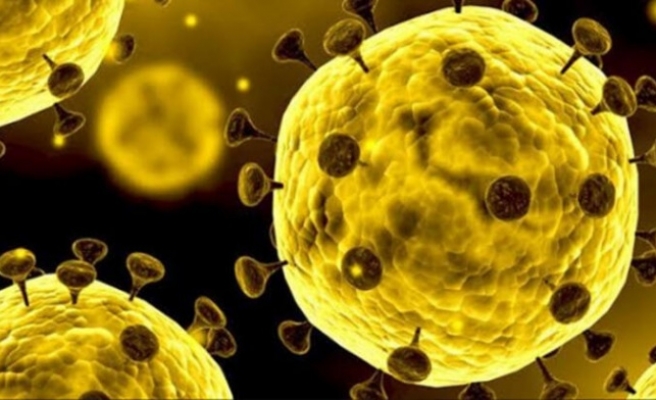 Corona Virüste Korkutan Sayı 1381!