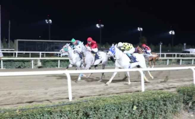 Haliliye Belediye Başkanlığı koşusunun kazananı belli oldu