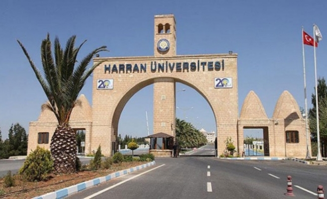 Harran Üniversitesi Aşçılarından Bir Başarı Daha
