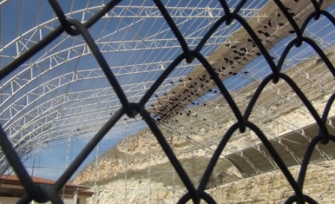 Şanlıurfa'da 'Baharın müjdecileri' doğaya salındı