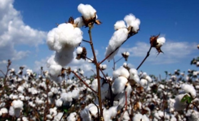 Şanlıurfa Ticaret Borsası Ürün Fiyatları Açıklandı