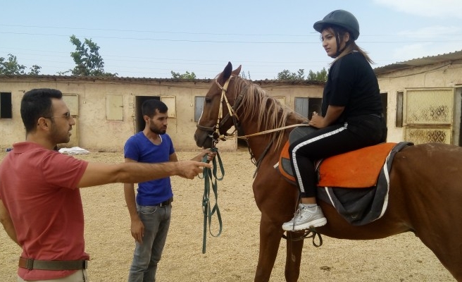 Veriler açıklandı... Şanlıurfa yine ilk sırada