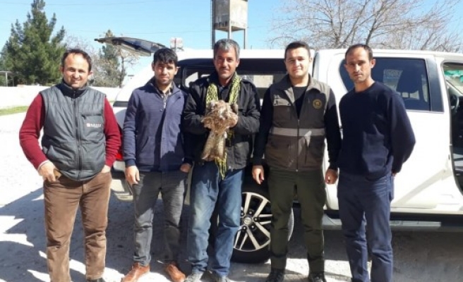 Tedavisi yapılan kızıl akbaba doğaya bırakıldı