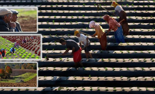 TZOB uyardı: Gıda için önlemler alınmalı