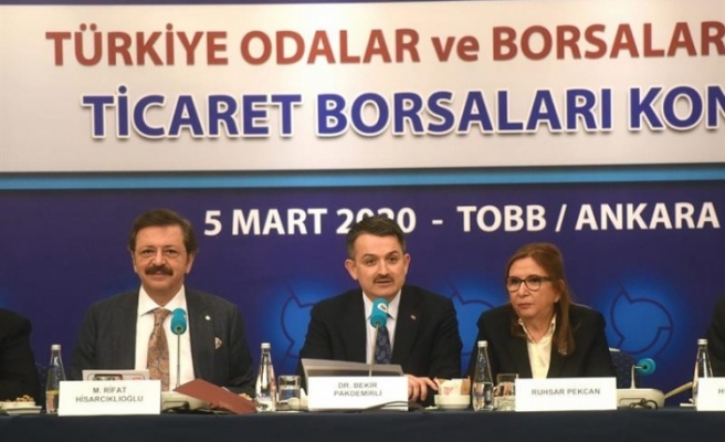 ‘İşlenmiş Gıdadaki Potansiyelimizi Dünyaya Pazarlamalıyız’