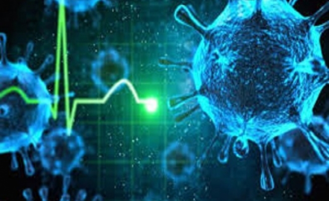 Koronadan Sonra Hantavirüsü Ortaya Çıktı