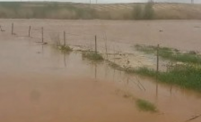 Urfa'da ekili tarla sular altında kaldı
