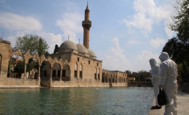 Balıklıgöl'deki balıklar görevliler tarafından besleniyor