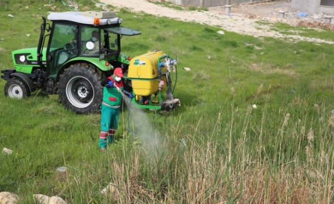 Karaköprü'de haşereye karşı ilaçlama başladı