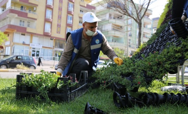 Urfa'da mevsimsel çalışmalar devam ediyor