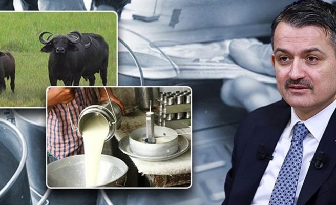 Bakan Pakdemirli, destek ödemelerinin başlayacağını açıkladı