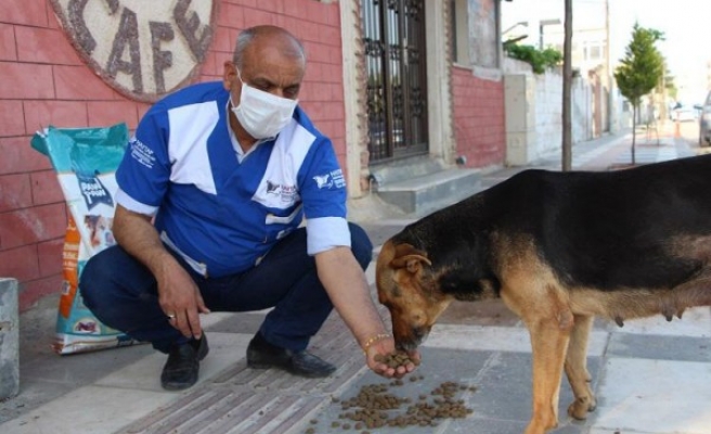 Urfa'da sokak hayvanları unutulmadı