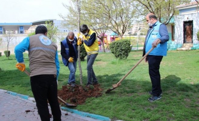 Haliliye’de yeşil alan çalışmaları devam ediyor