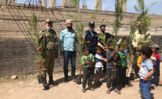 Orman Bölge Müdürlüğü ekipleri Telabyad'da fidan dikti