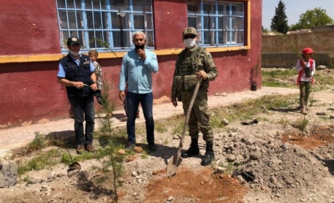 Urfa'nın sınırında 100'üncü yıl anısına fidan dikildi
