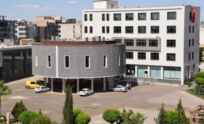 Viranşehir Belediyesi sokak hayvanlarının vurulduğu iddiasını yalanladı