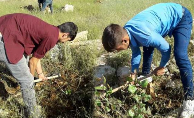 Urfa'da 'Gelir getirici ağaçlandırma' çalışması yapıldı