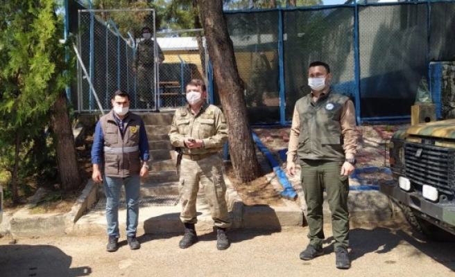 Tugay Komutanlığında yaralı ebabil bulundu