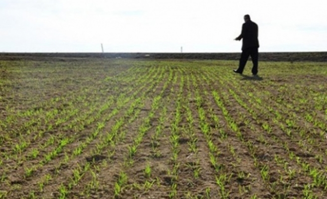 Ekilmedik Bir Karış Toprak Kalmayacak
