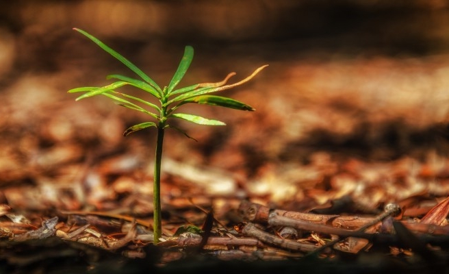 'Geleceğe Nefes Ol' kampanyası Şanlıurfalıların desteğini bekliyor