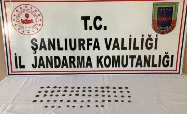 Urfa'da kaçakçılık operasyonu: 9 gözaltı