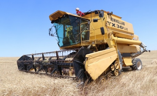Barış Pınarı bölgesinde hasat sevinci yaşandı