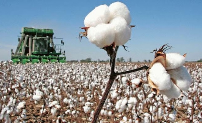 Urfalı vekil ve başkanlara çağrı: Çiftçi mağdur olmasın