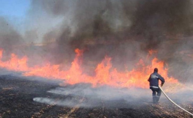 Açıklama geldi: Anız yakanlara ceza verilecek