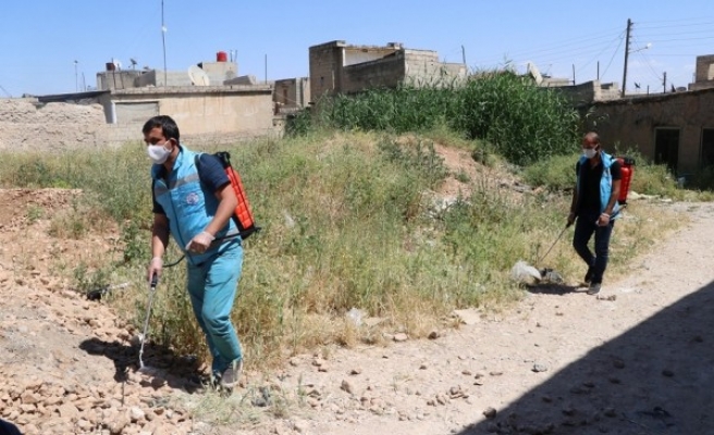 Akçakale Belediyesi Telabyad'da ilaçlama çalışması yaptı