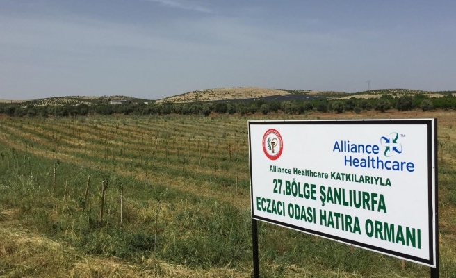 Urfa'da Eczacılar Odası hatıra ormanı kurdu