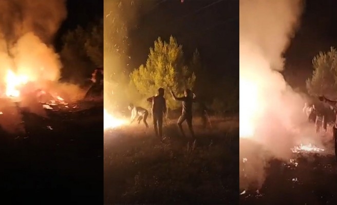 Urfa'da ağaçlandırma sahasında yangın çıktı