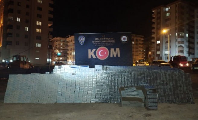 Urfa'da 30 bin paket kaçak sigara ele geçirildi