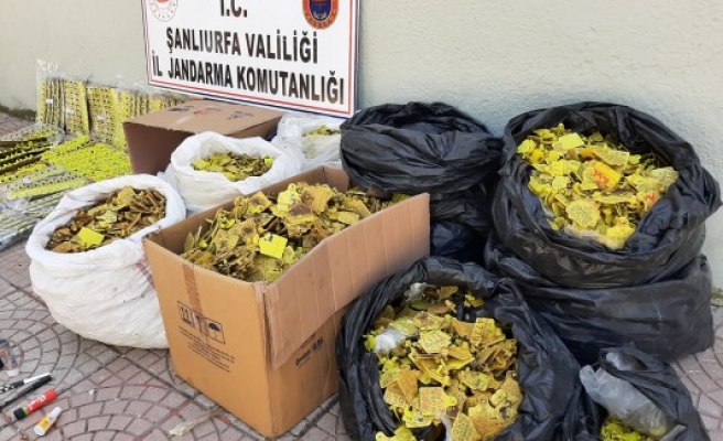 Şanlıurfa'da sahte kulak küpesi üretenlere operasyon