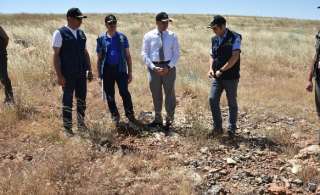 Urfa'da toprakla buluşan fidanlar incelendi