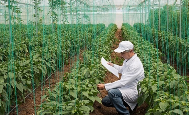 Bitkisel Üretim Destekleme Ödemesi Tebliğinde Değişiklik Yapıldı